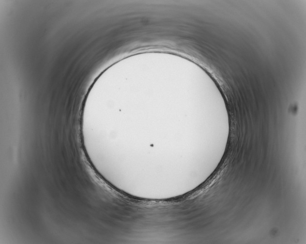 X0000098091534200805021034