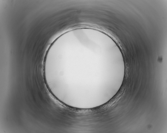 X0000098091535200805021034