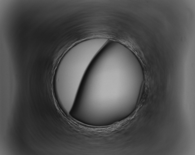 X0000098100001200804040756