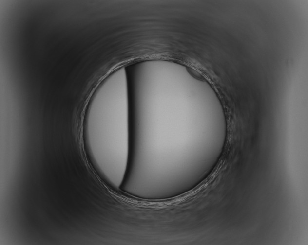 X0000098100002200804040756