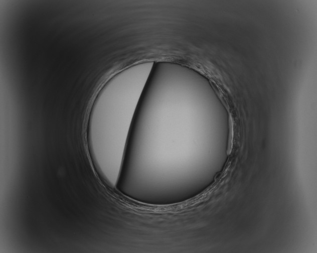 X0000098100003200804040756