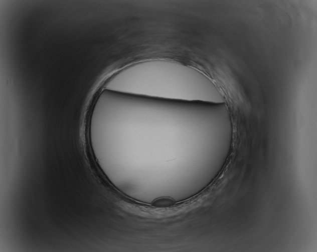 X0000098100006200804040755