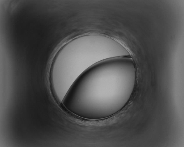 X0000098100007200804040755