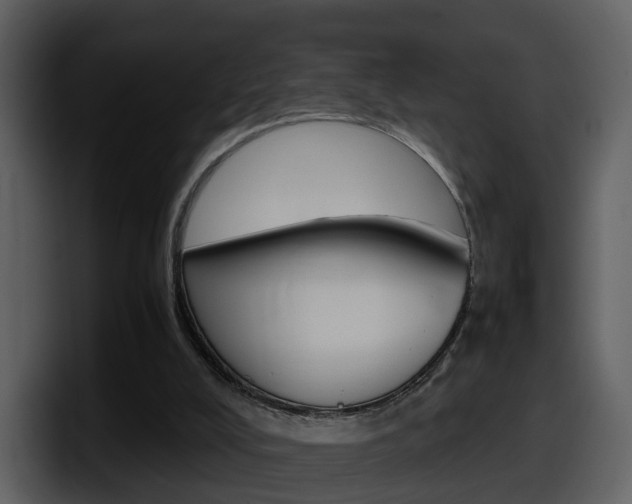 X0000098100008200804040755