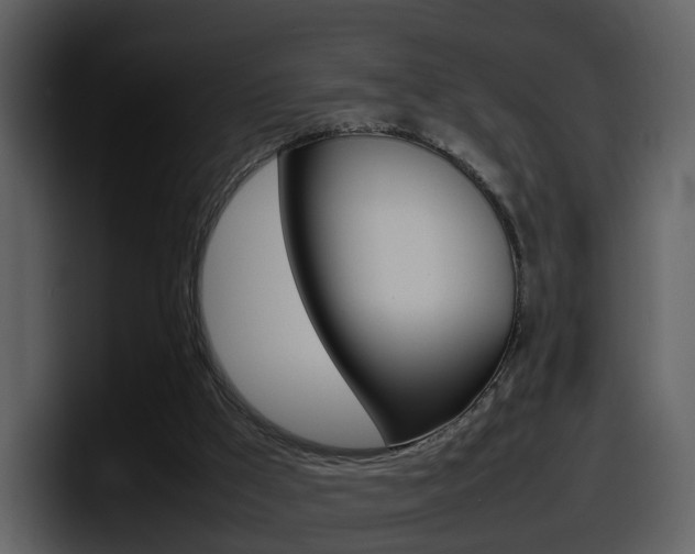 X0000098100009200804040755