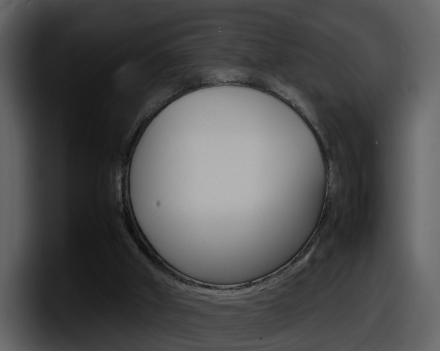 X0000098100010200804040755