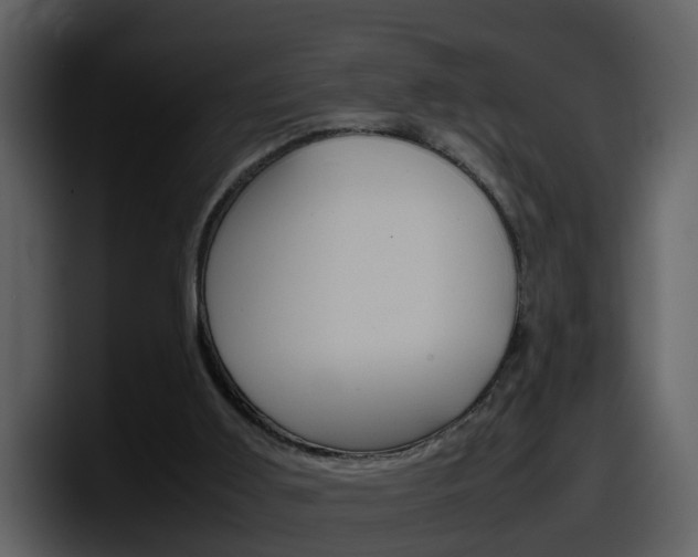 X0000098100011200804040755