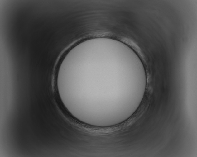 X0000098100012200804040755