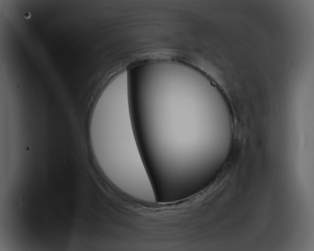 X0000098100013200804040755