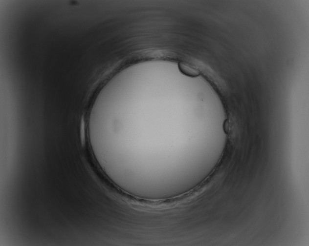 X0000098100014200804040755