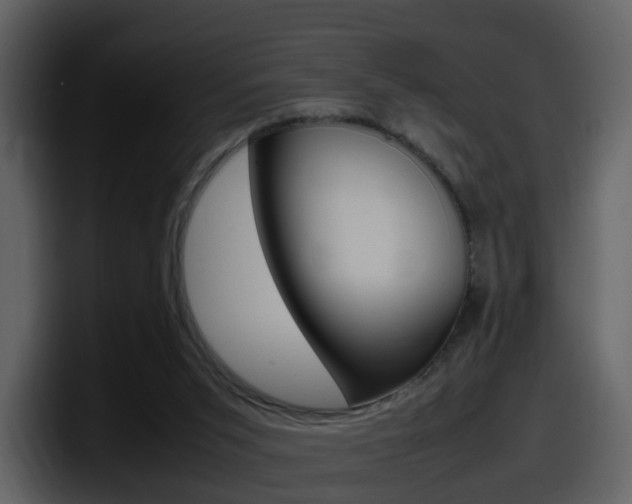 X0000098100015200804040755