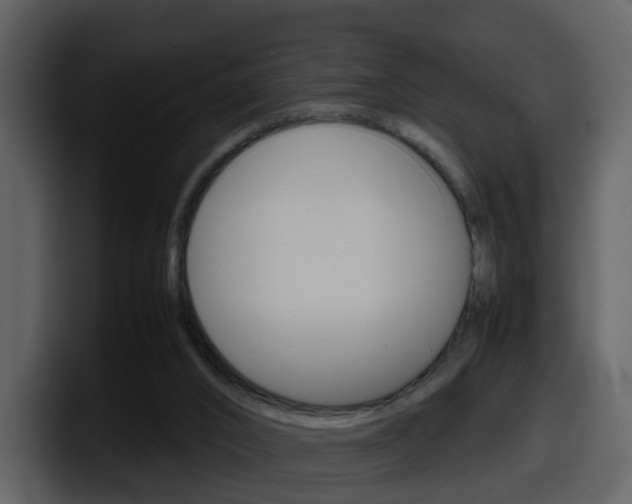 X0000098100016200804040755