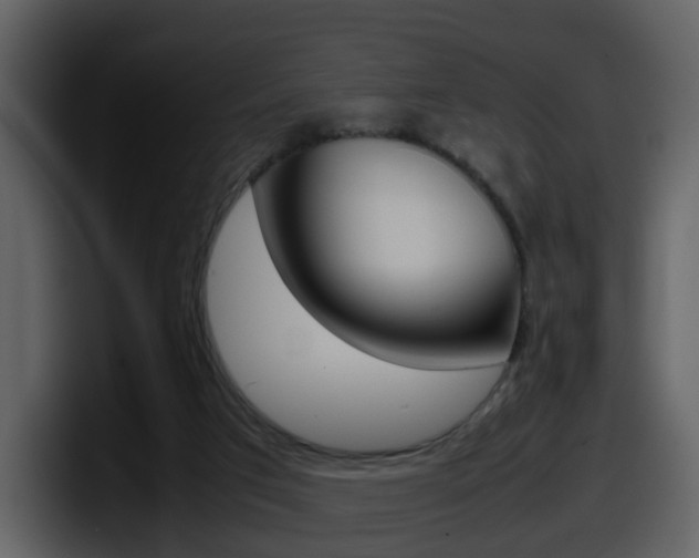X0000098100017200804040755