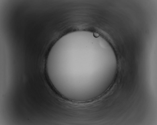 X0000098100018200804040755