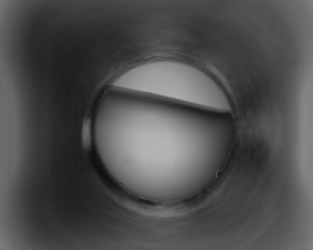 X0000098100020200804040755