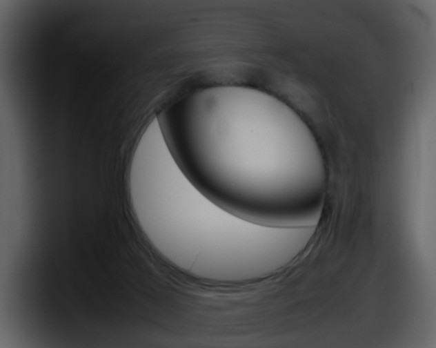 X0000098100021200804040755