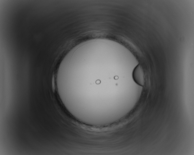 X0000098100022200804040755