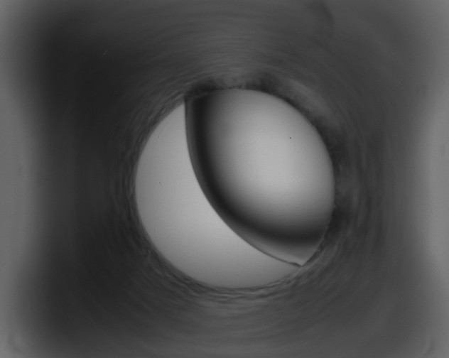 X0000098100025200804040755