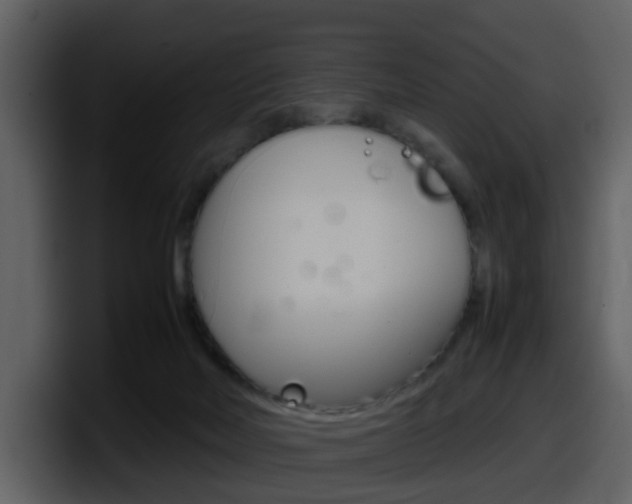 X0000098100026200804040755