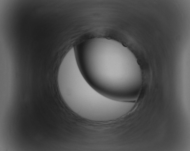 X0000098100029200804040755
