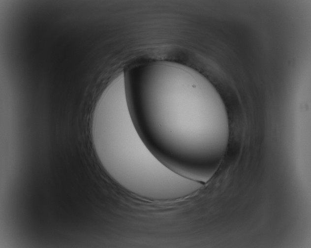 X0000098100031200804040755