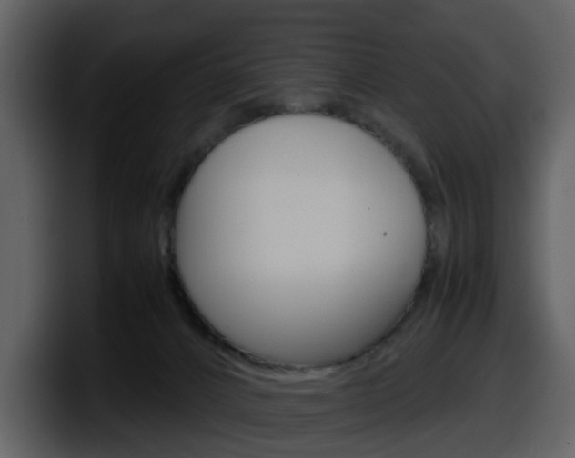 X0000098100032200804040755