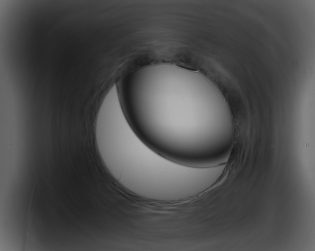X0000098100033200804040755