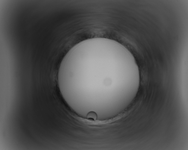 X0000098100034200804040755