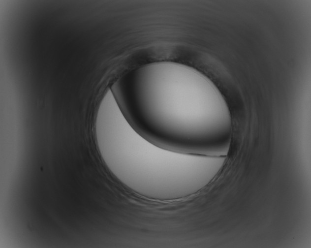 X0000098100035200804040755
