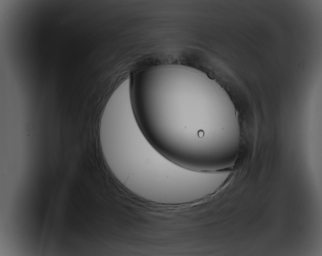 X0000098100037200804040755