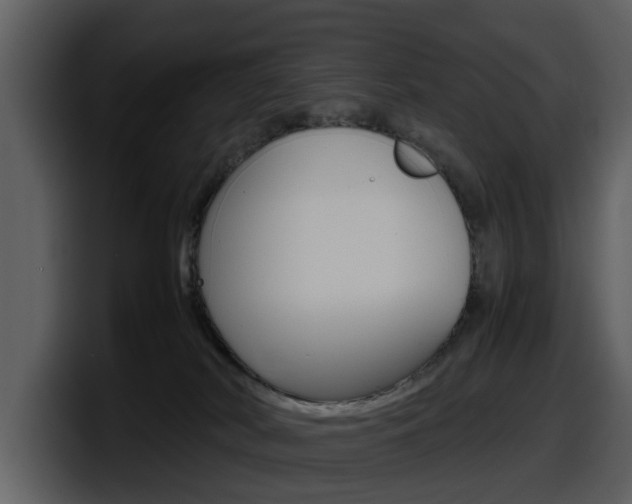 X0000098100038200804040755