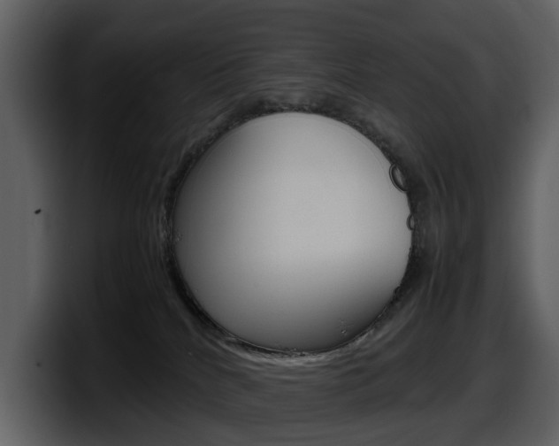 X0000098100040200804040755