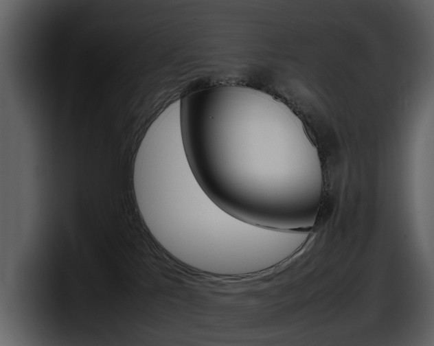 X0000098100041200804040755