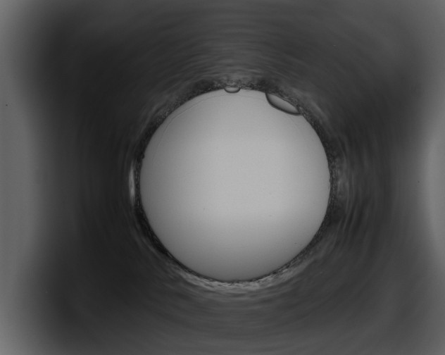 X0000098100042200804040755