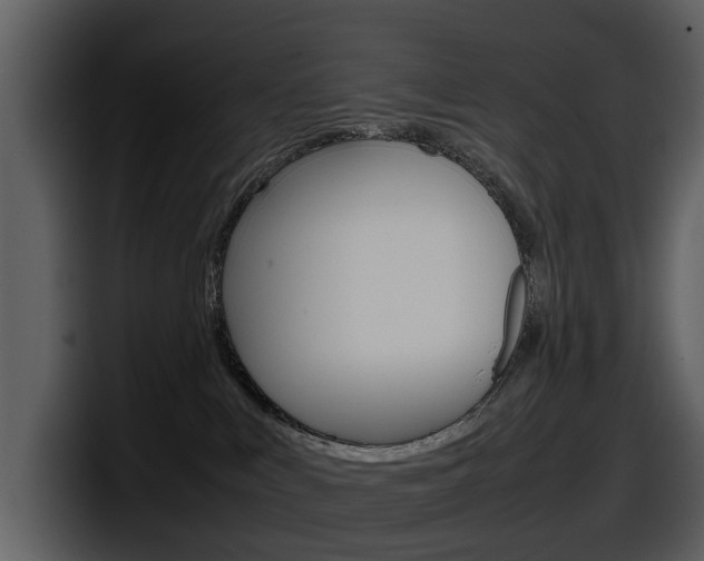 X0000098100043200804040755