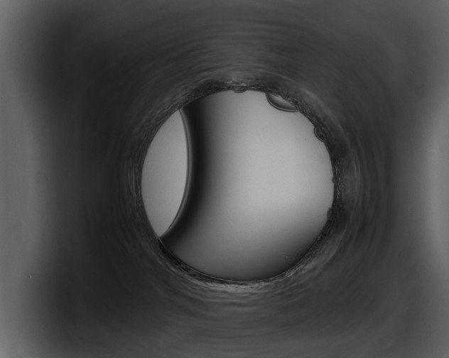 X0000098100044200804040755