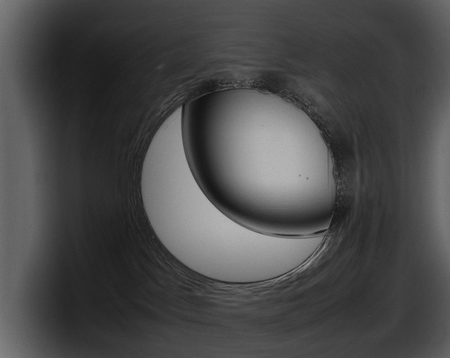 X0000098100045200804040755