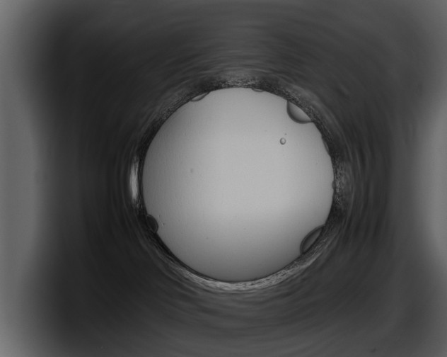X0000098100046200804040755