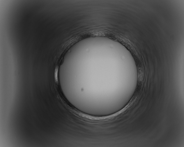 X0000098100047200804040755