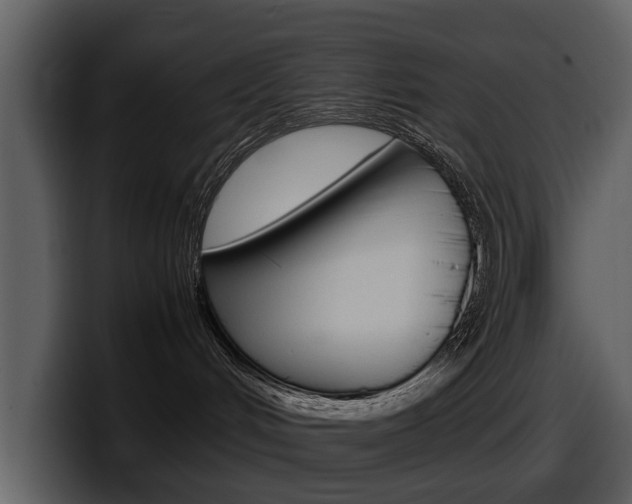 X0000098100048200804040755