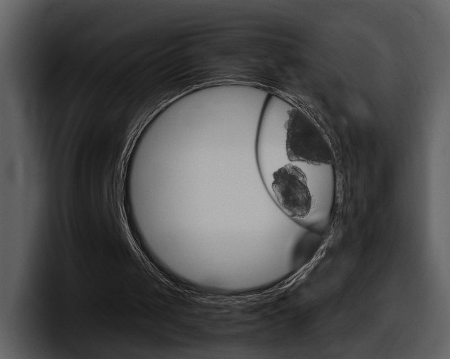 X0000098100049200804040754