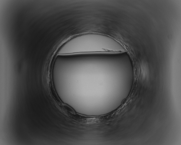 X0000098100050200804040754