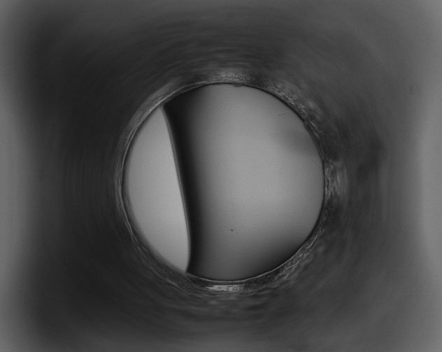 X0000098100051200804040754