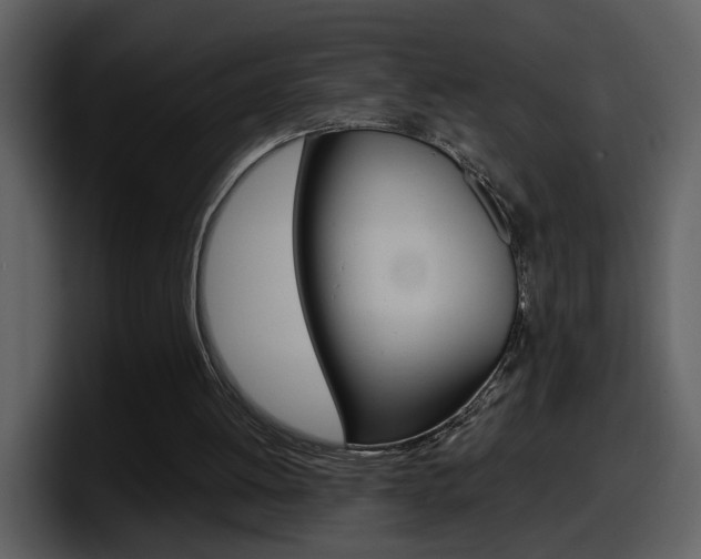 X0000098100052200804040754