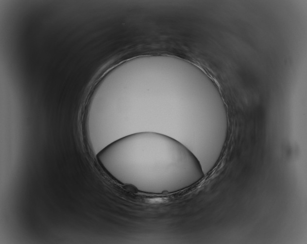 X0000098100053200804040754