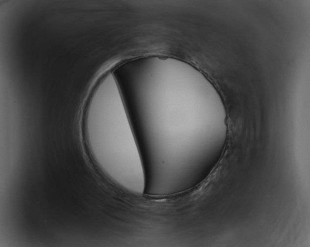 X0000098100054200804040754