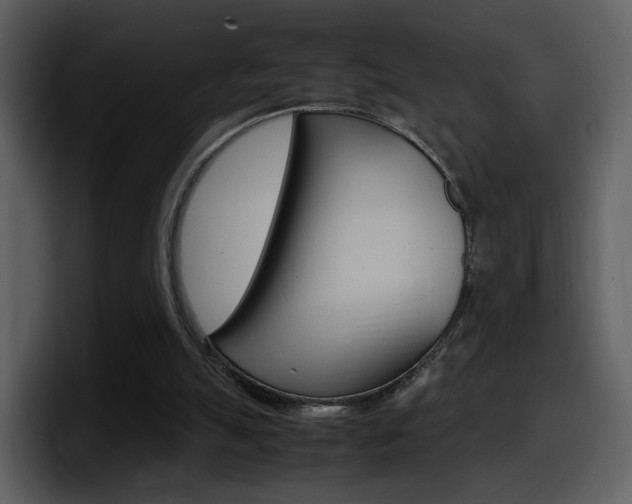 X0000098100055200804040754
