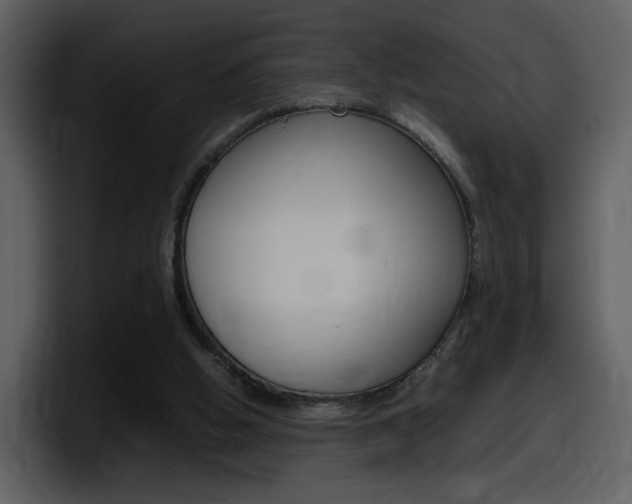 X0000098100058200804040754