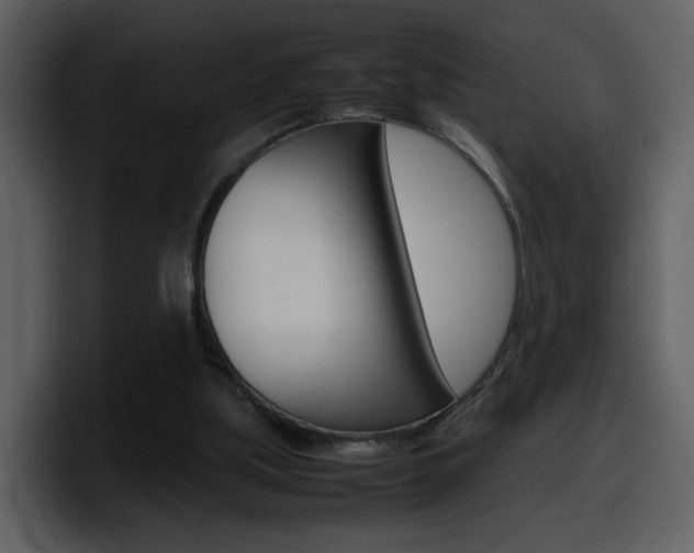 X0000098100059200804040754