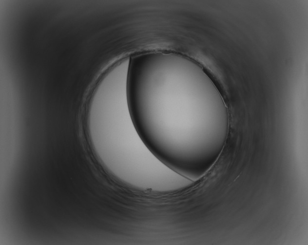 X0000098100060200804040754